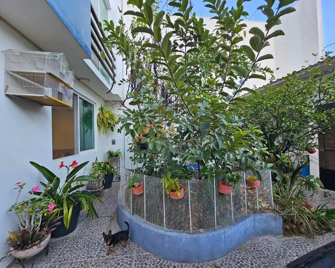 HOUSE FOR SALE IN THE VOLCANES NEIGHBORHOOD