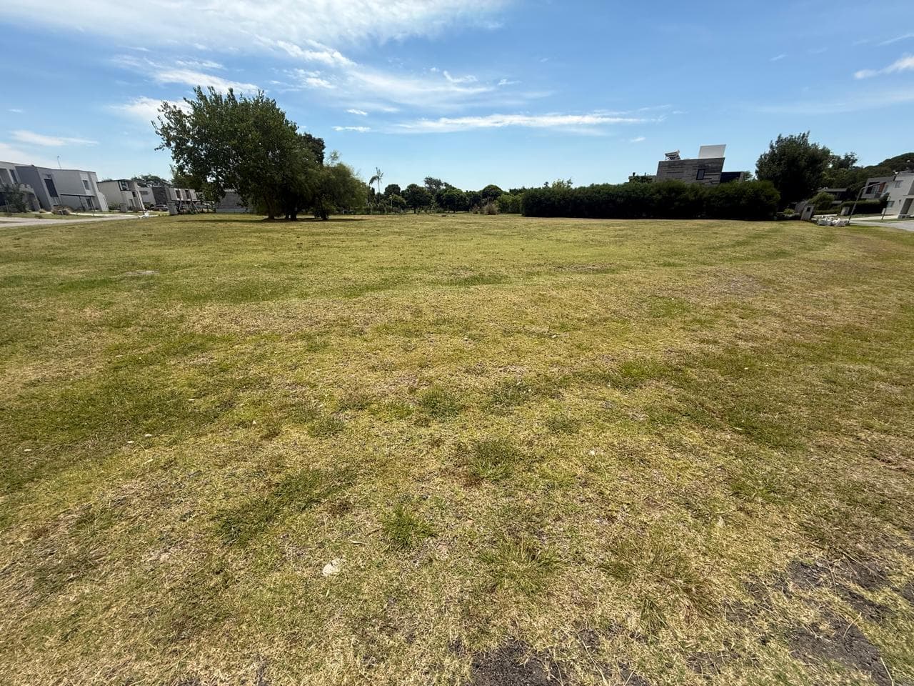 SALE OF CENTRAL LOTS IN GREENVILLE