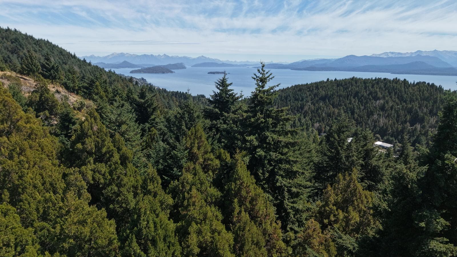 4-hectare lot for sale in Las Margaritas neighborhood, Bariloche