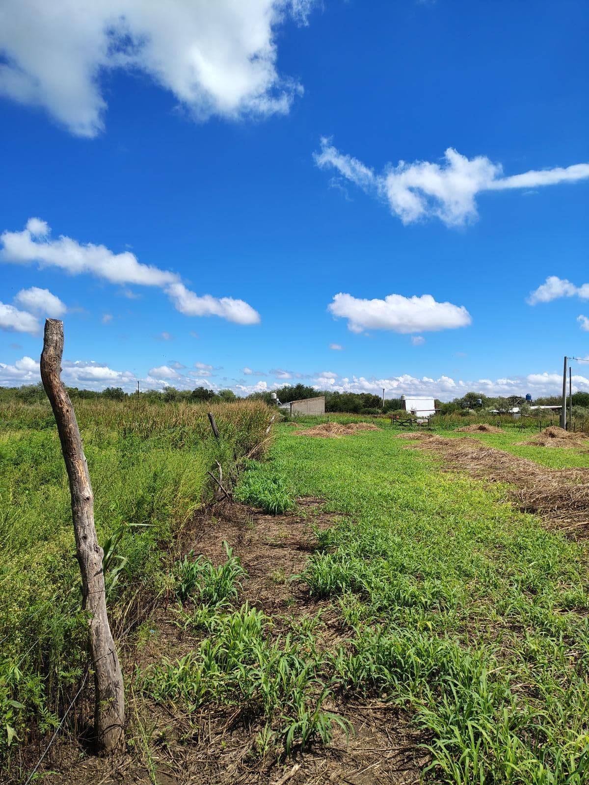 Large Lot for Sale in Las Tapias | 1,478 m² Floor Plans | Immediate Title Transfer