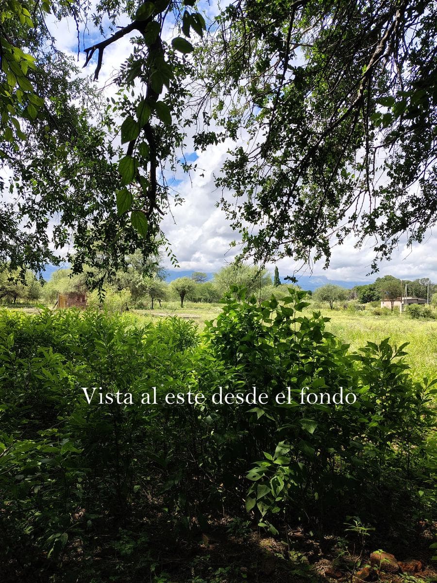 Large Lot for Sale in Las Tapias | 1,478 m² Floor Plans | Immediate Title Transfer