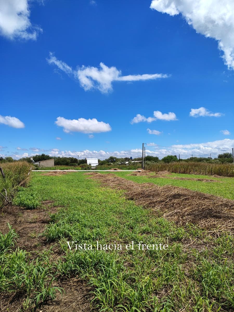 Large Lot for Sale in Las Tapias | 1,478 m² Floor Plans | Immediate Title Transfer