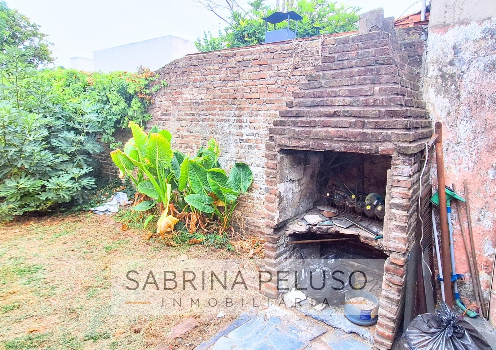 House in Paso Del Rey