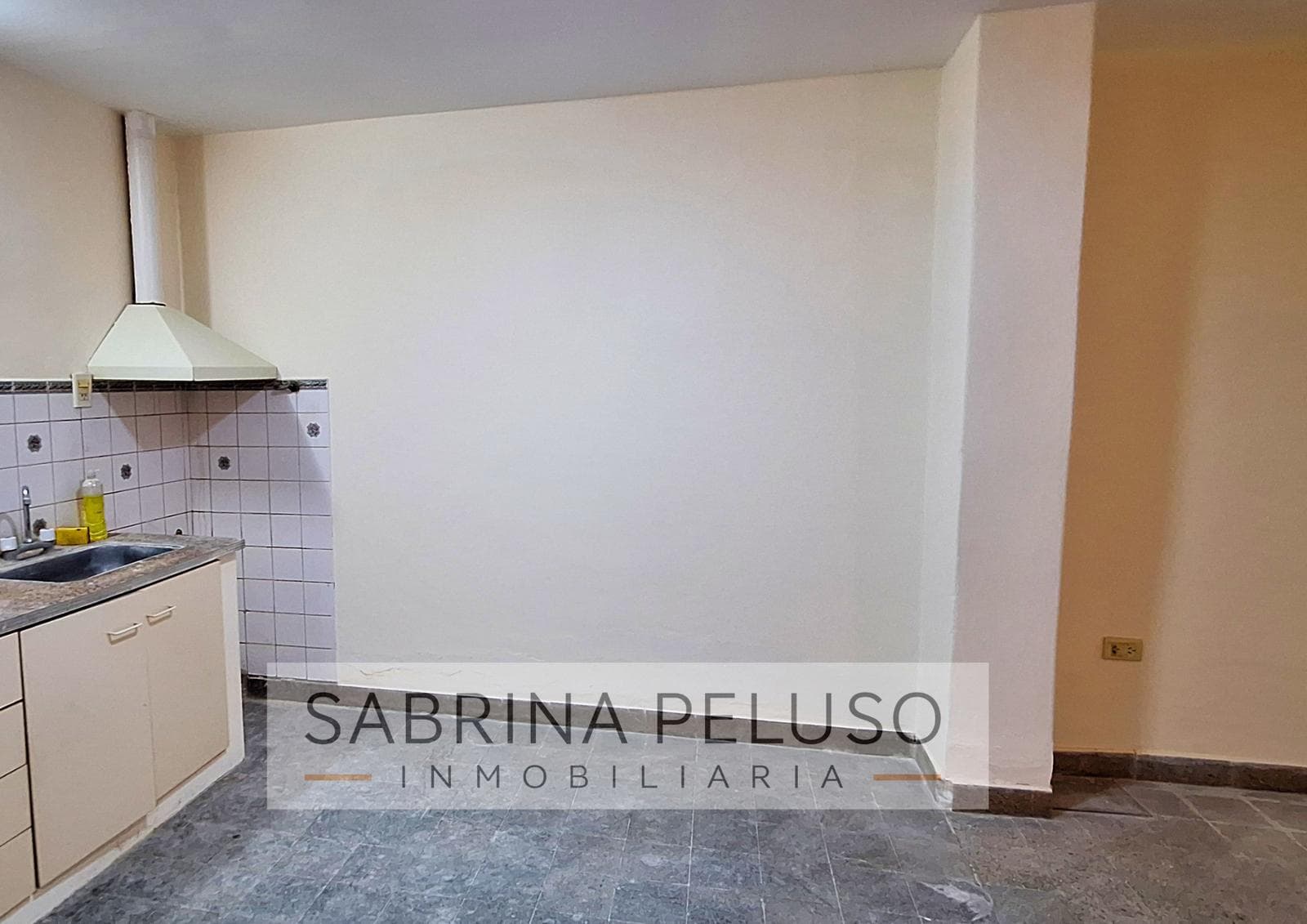 House in Paso Del Rey