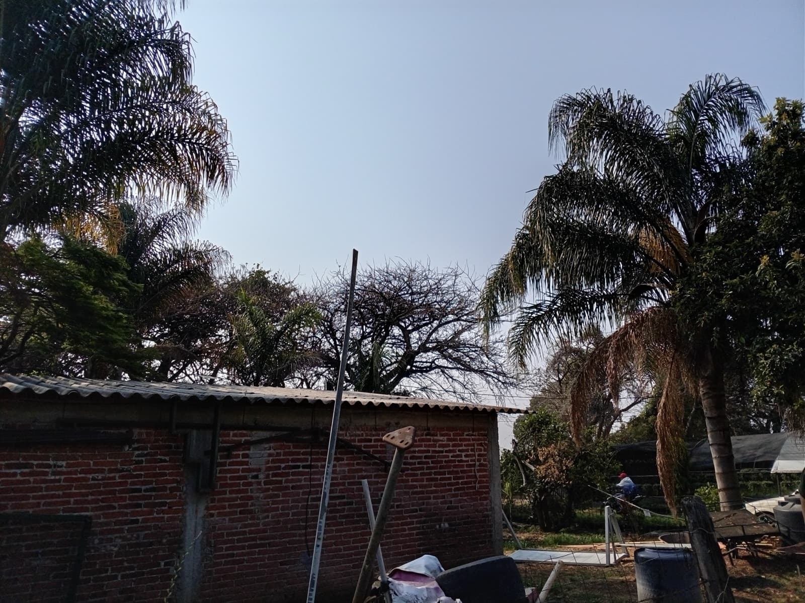 Land - Town of Tetela del Monte