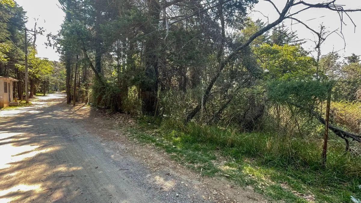 LAND FOR SALE – SAN MATEO TLALTENANGO, CUAJIMALPA (LOMA TLALMIMINOLPAN)