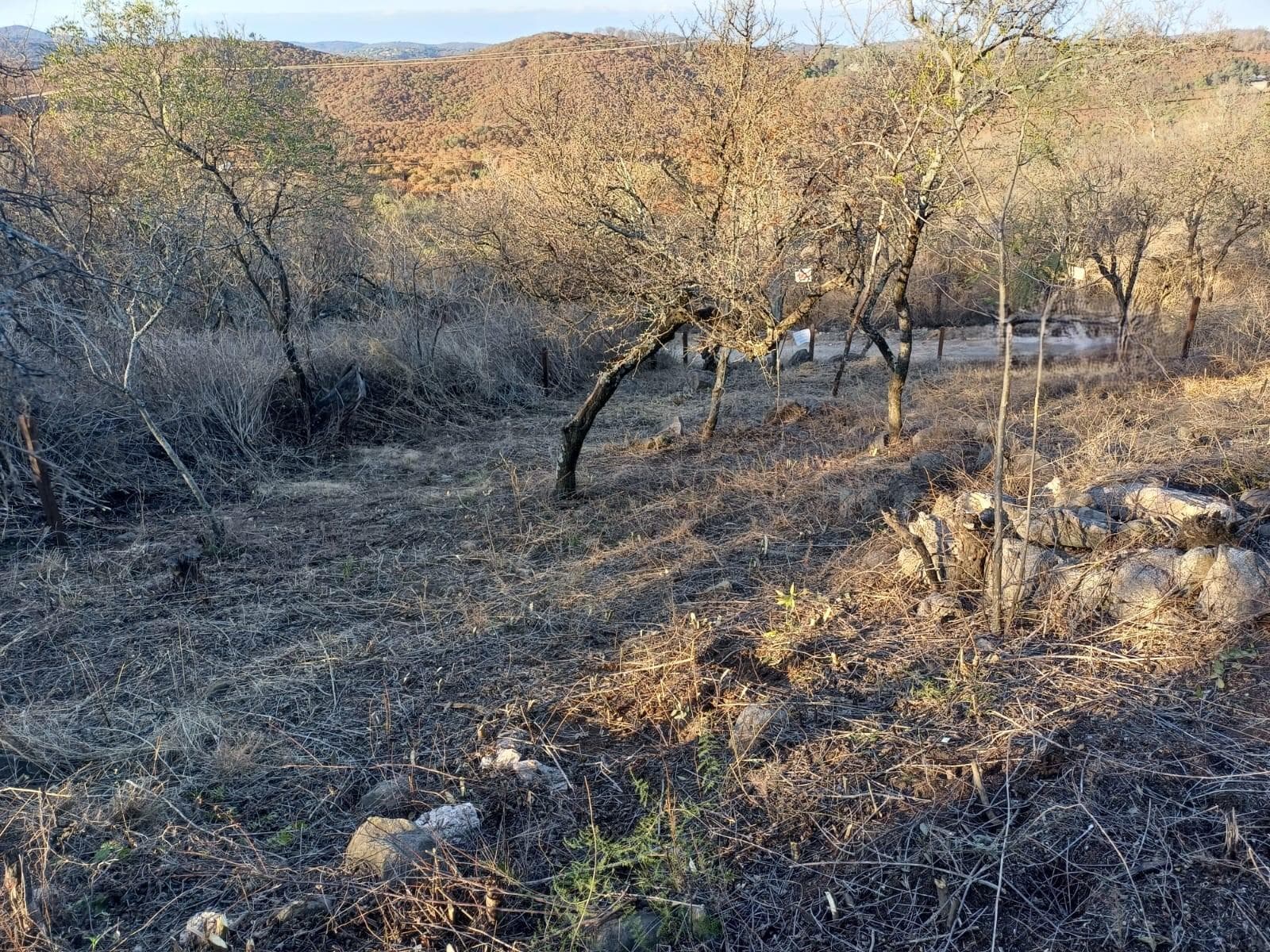 Land for Sale in Rio Ceballos
