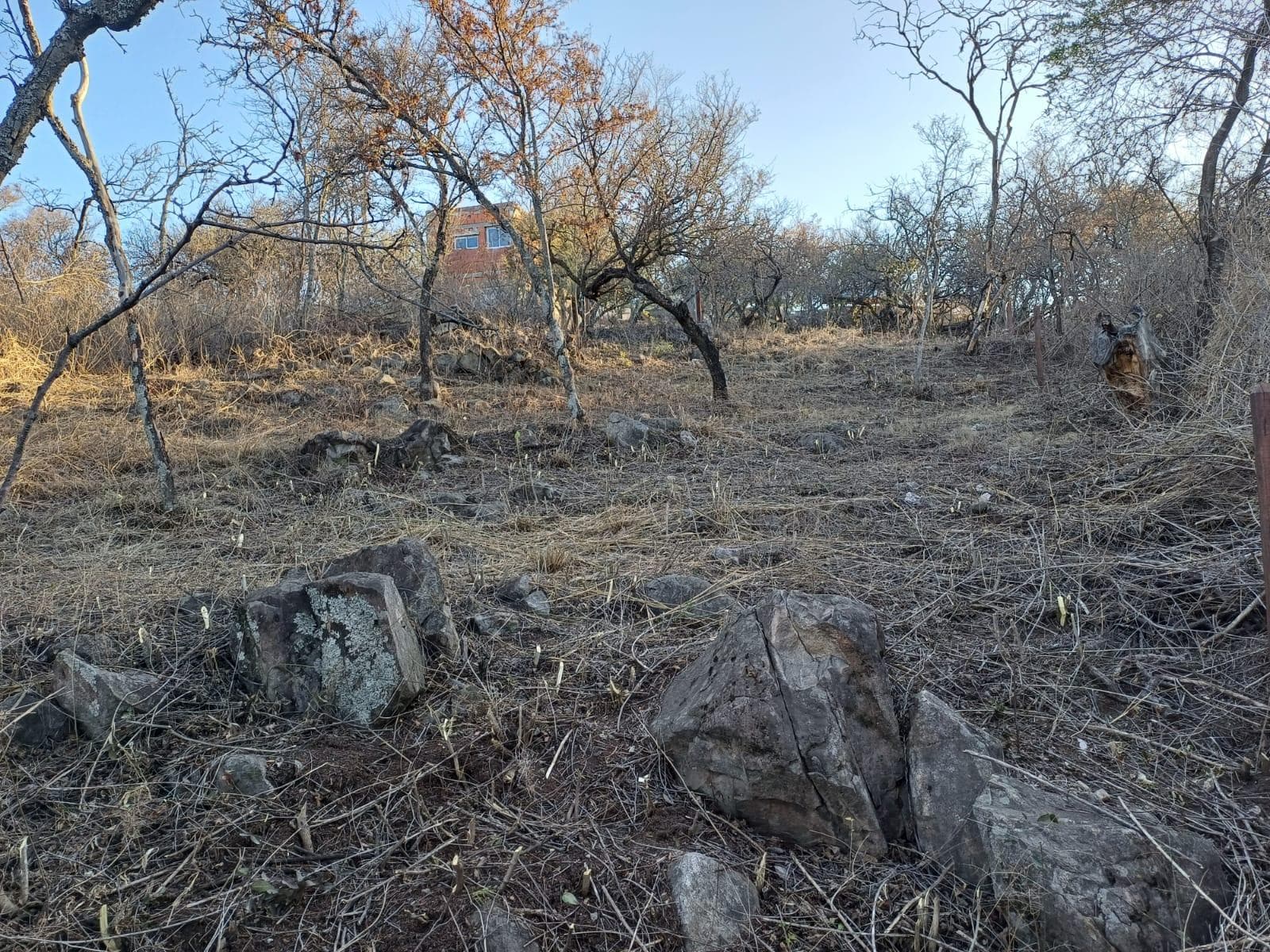 Land for Sale in Rio Ceballos