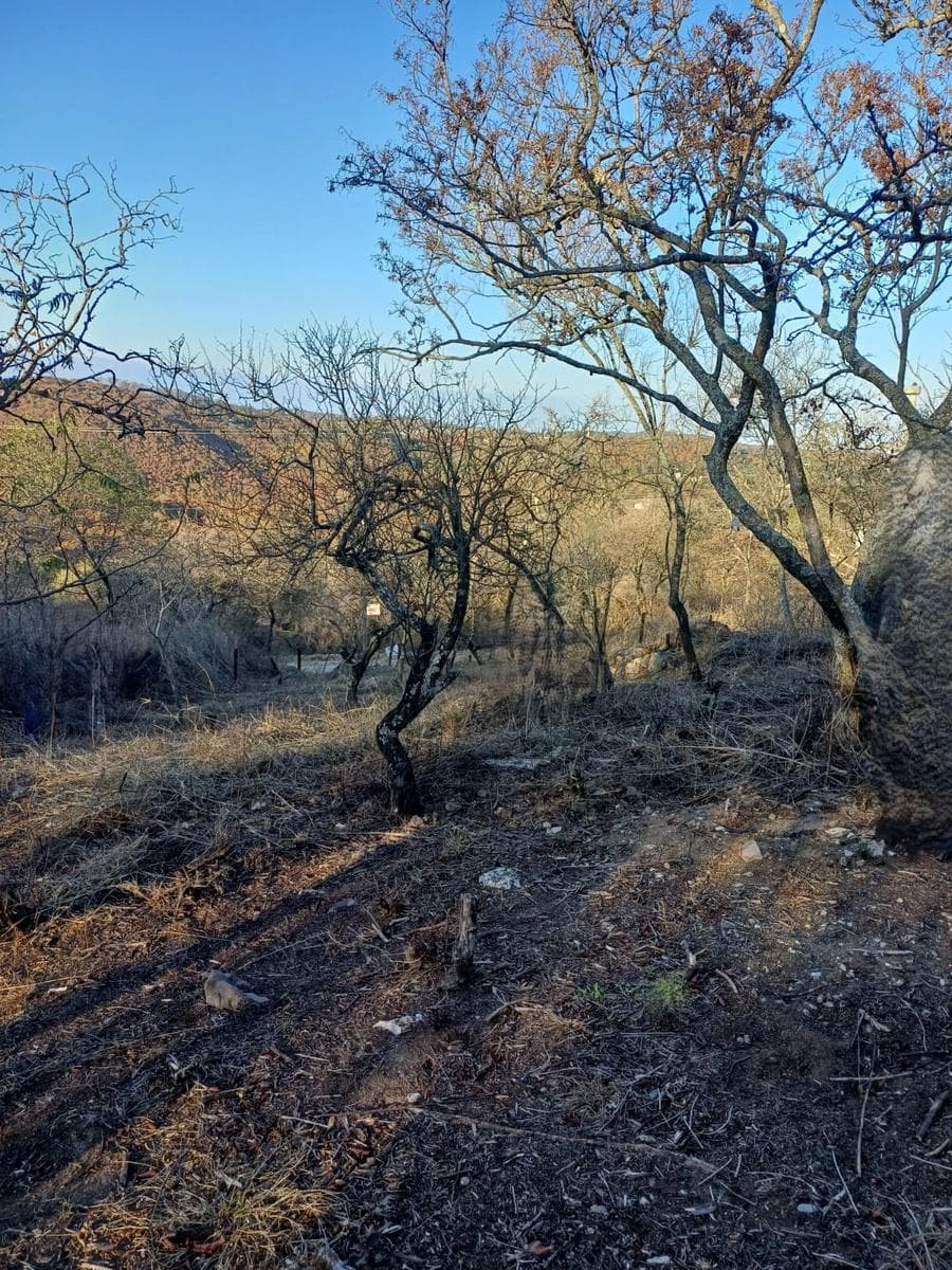 Land for Sale in Rio Ceballos