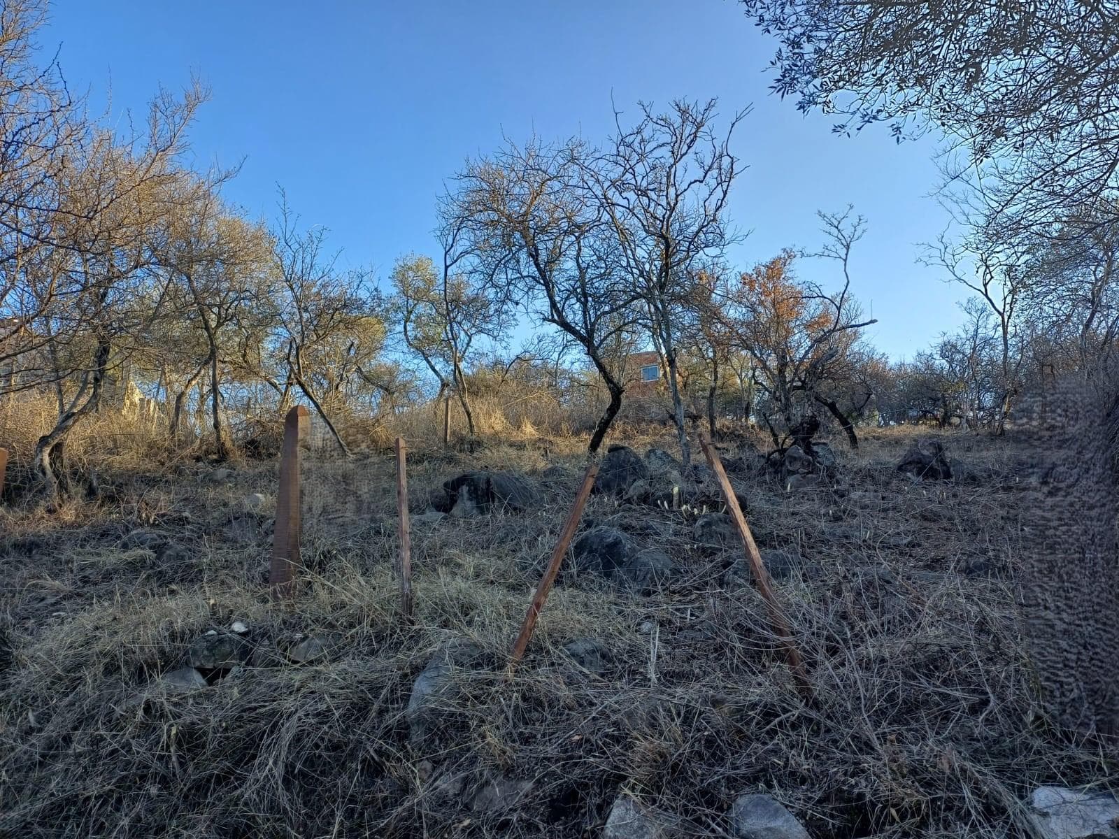 Land for Sale in Rio Ceballos