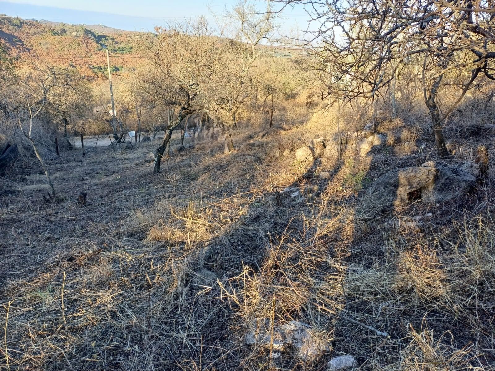Land for Sale in Rio Ceballos