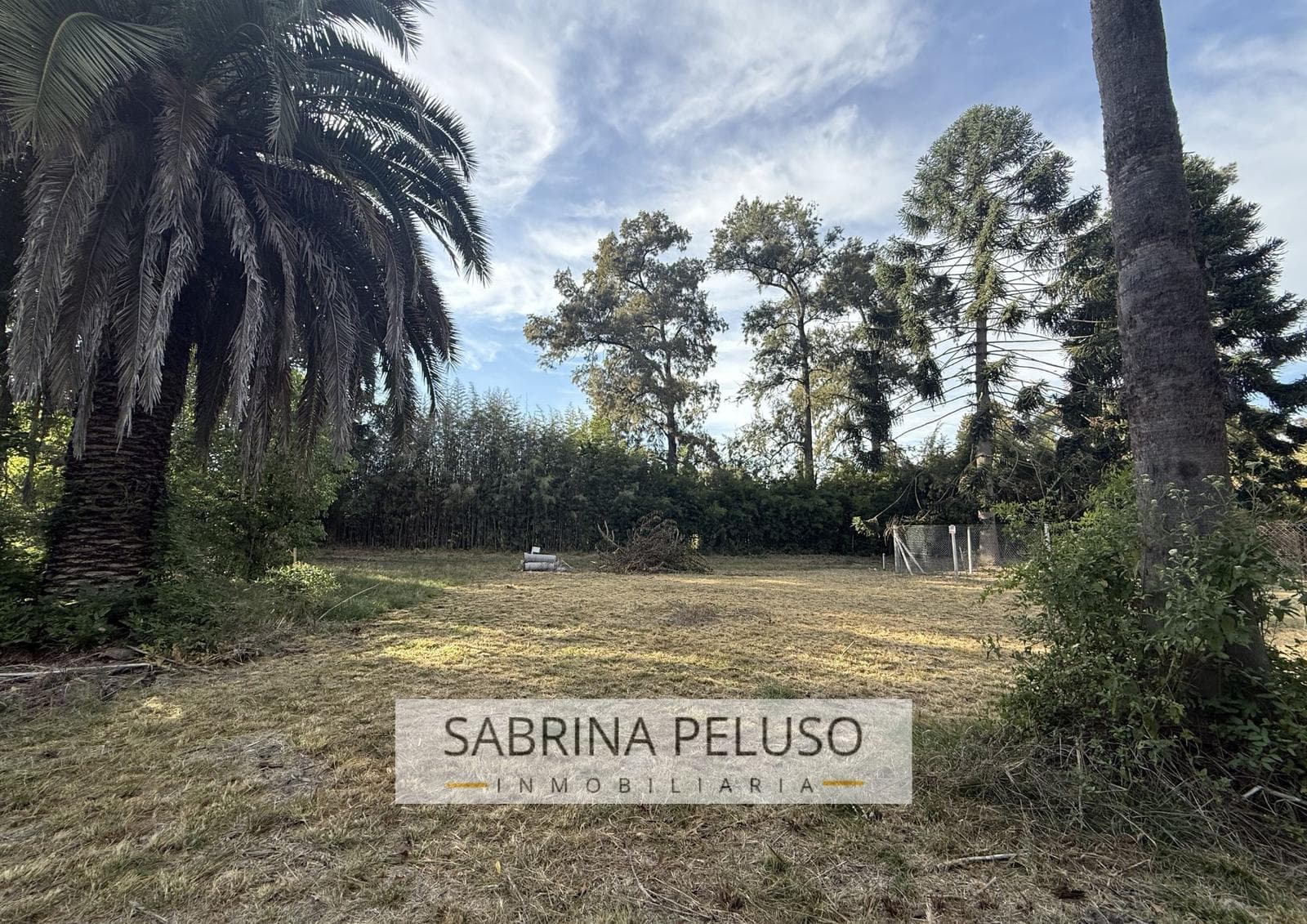 Land in La Reja
