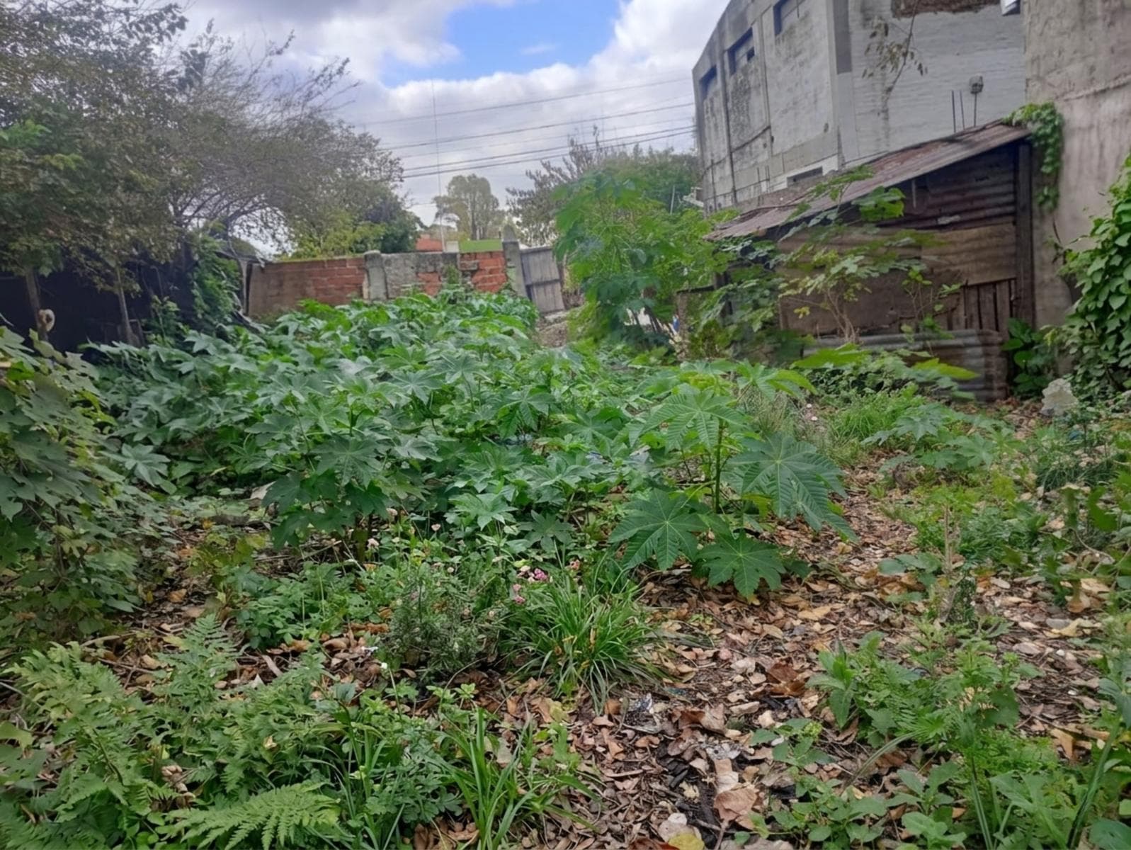 LAND FOR SALE IN JOSE MARMOL