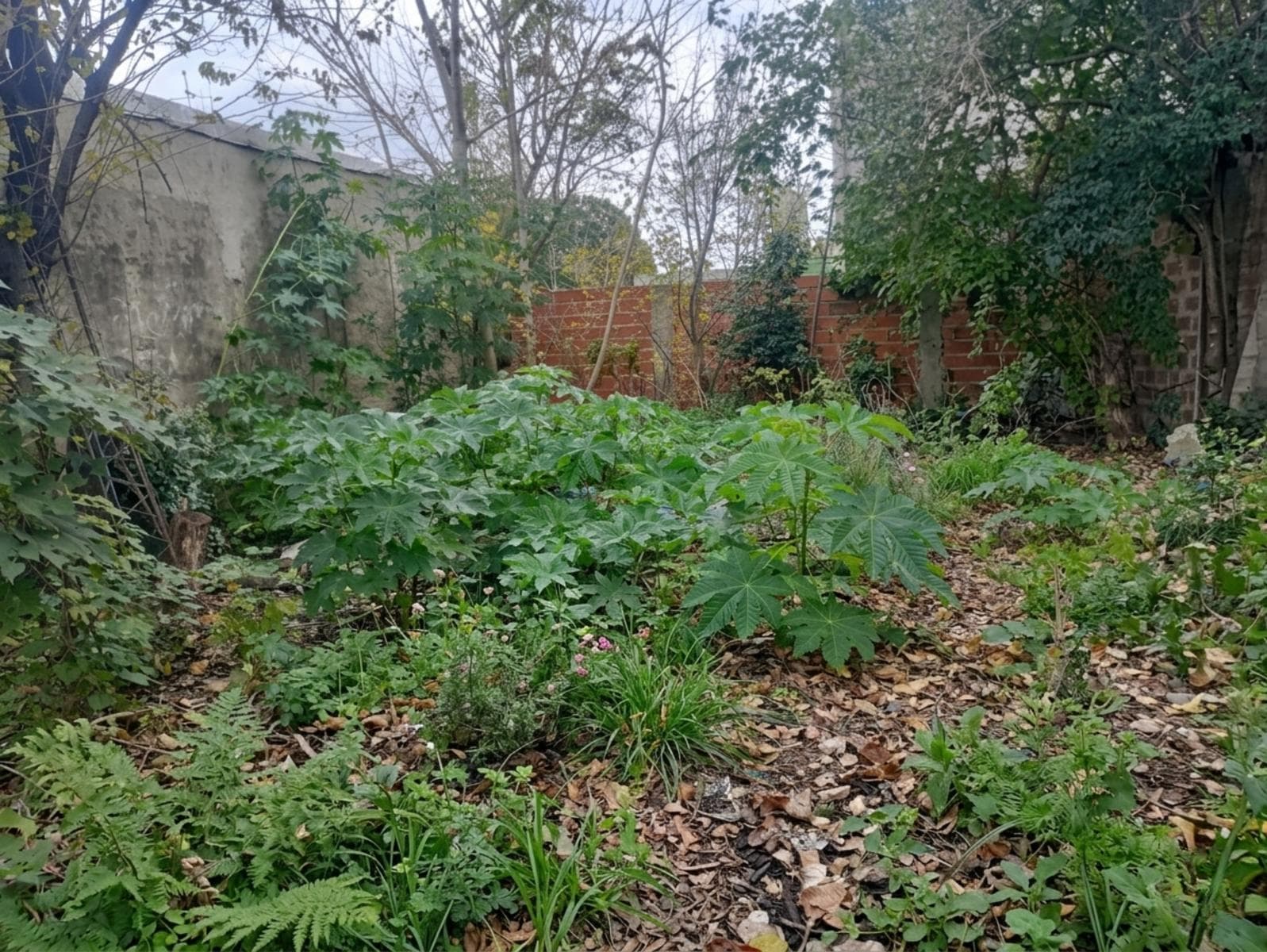 LAND FOR SALE IN JOSE MARMOL