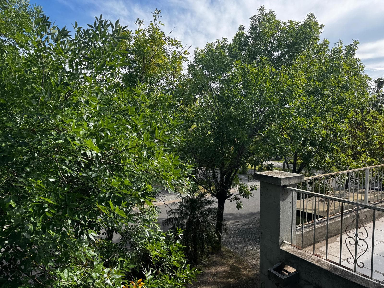 HOUSE FOR SALE IN LA ALAMEDA