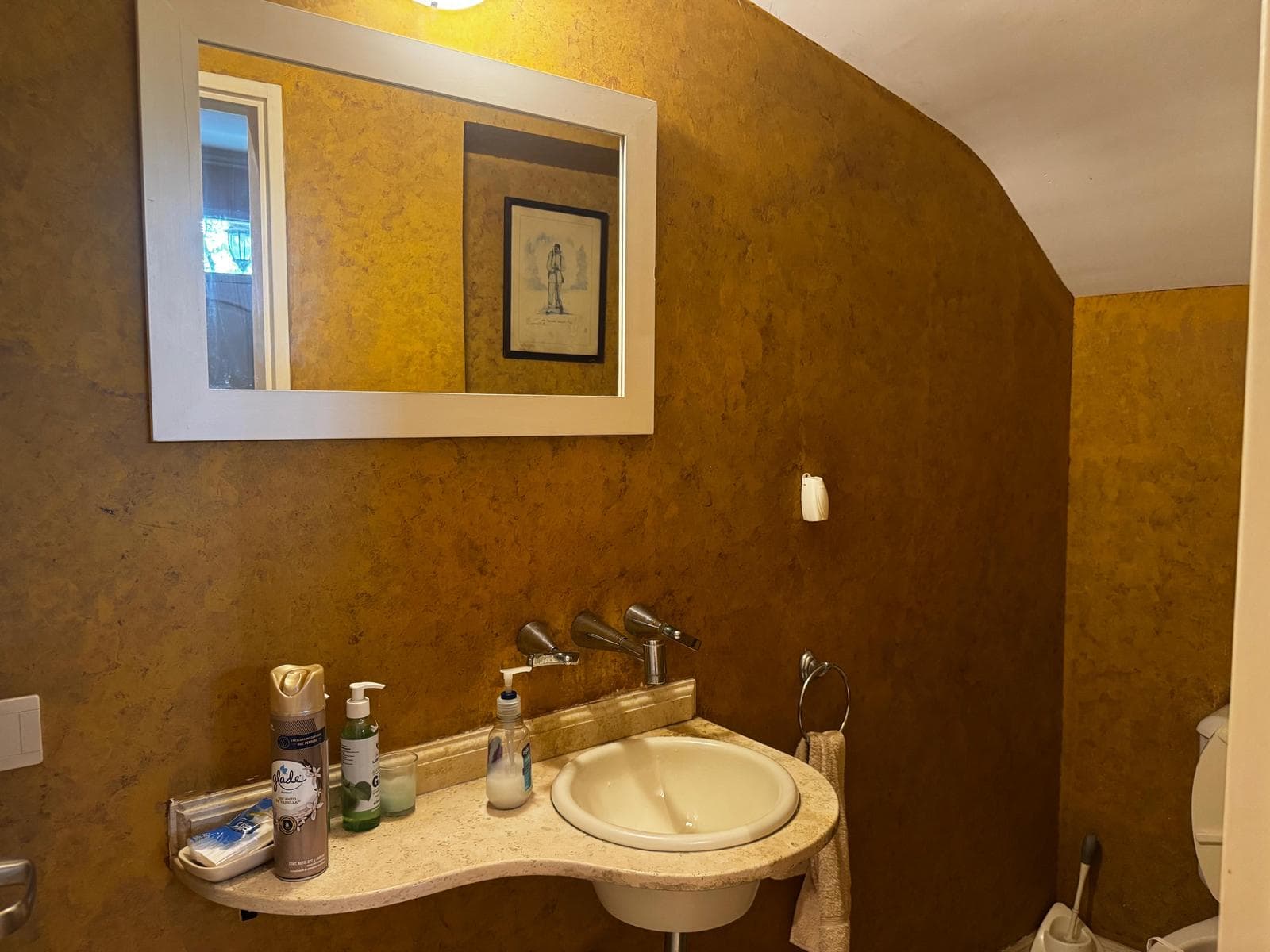 HOUSE FOR SALE IN LA ALAMEDA