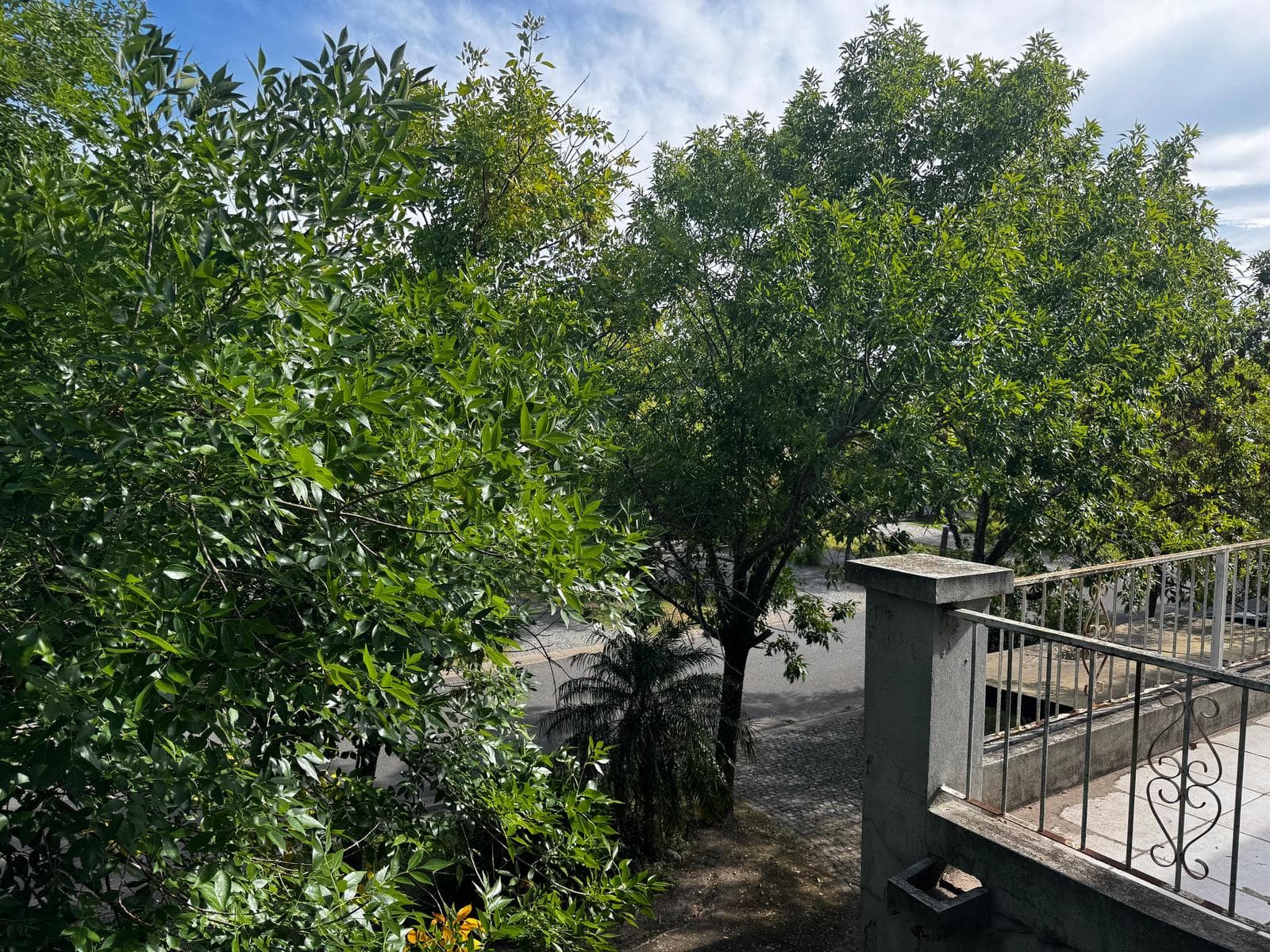 HOUSE FOR SALE IN LA ALAMEDA