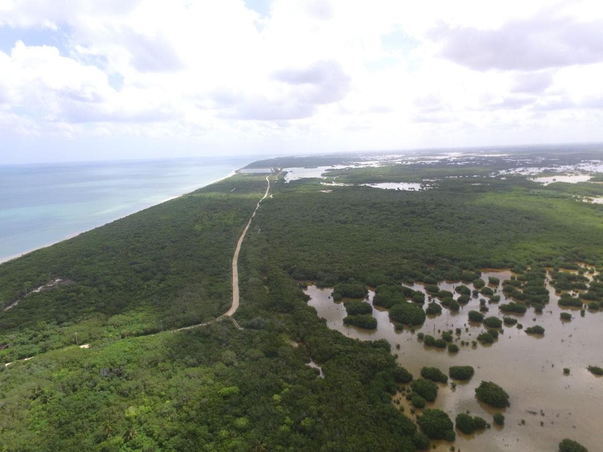 25-meter Oceanfront Lot in Sisal Sunset Shore, Yucata