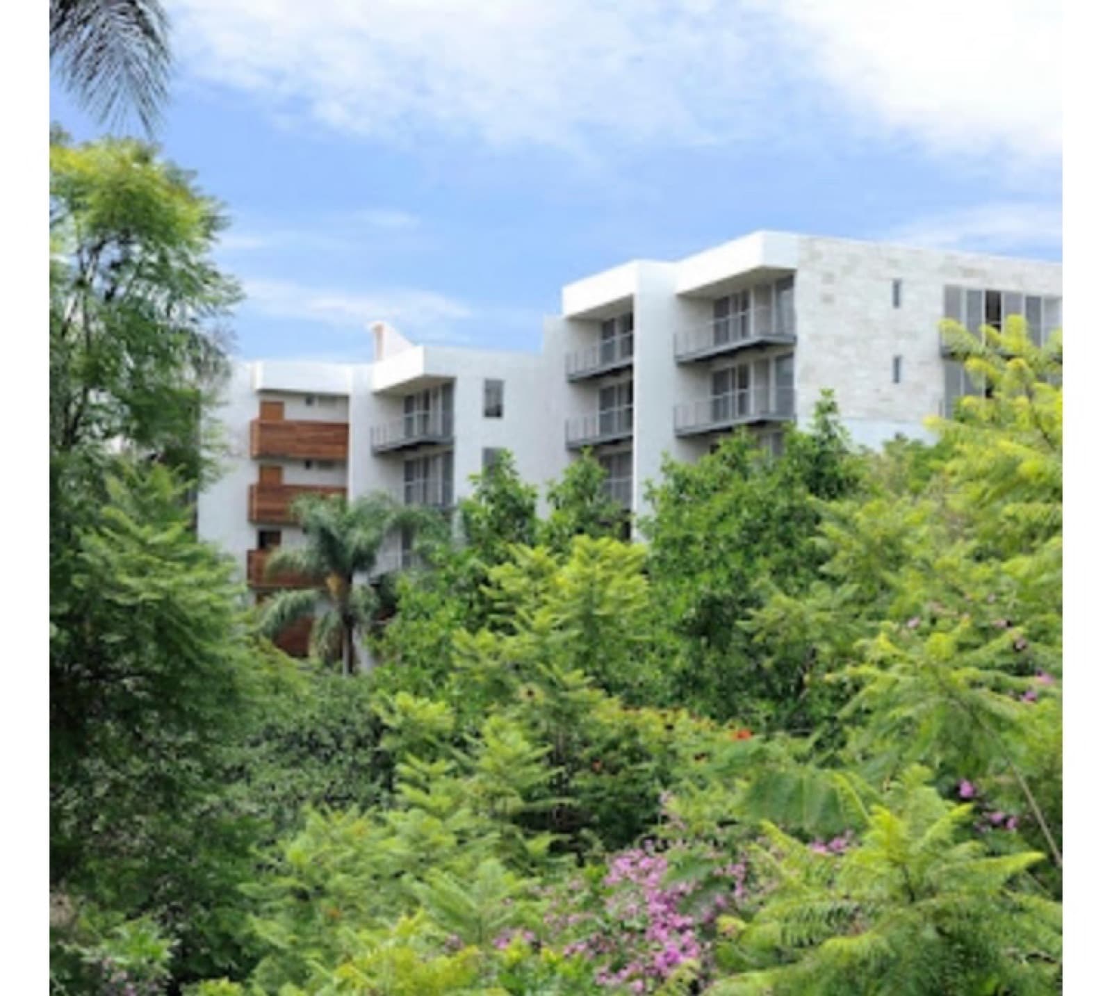 Apartment - Downtown Cuernavaca