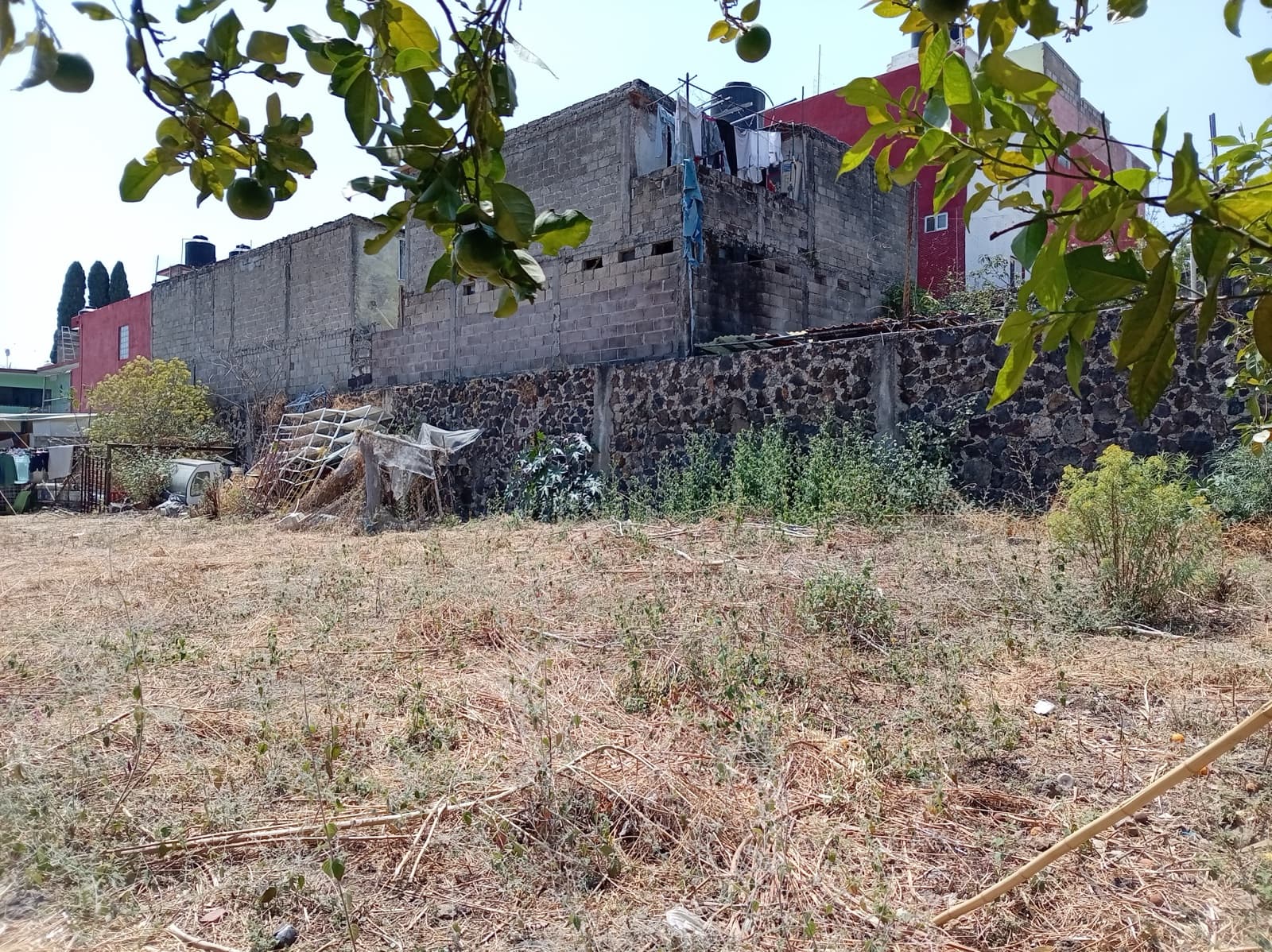 Land - University