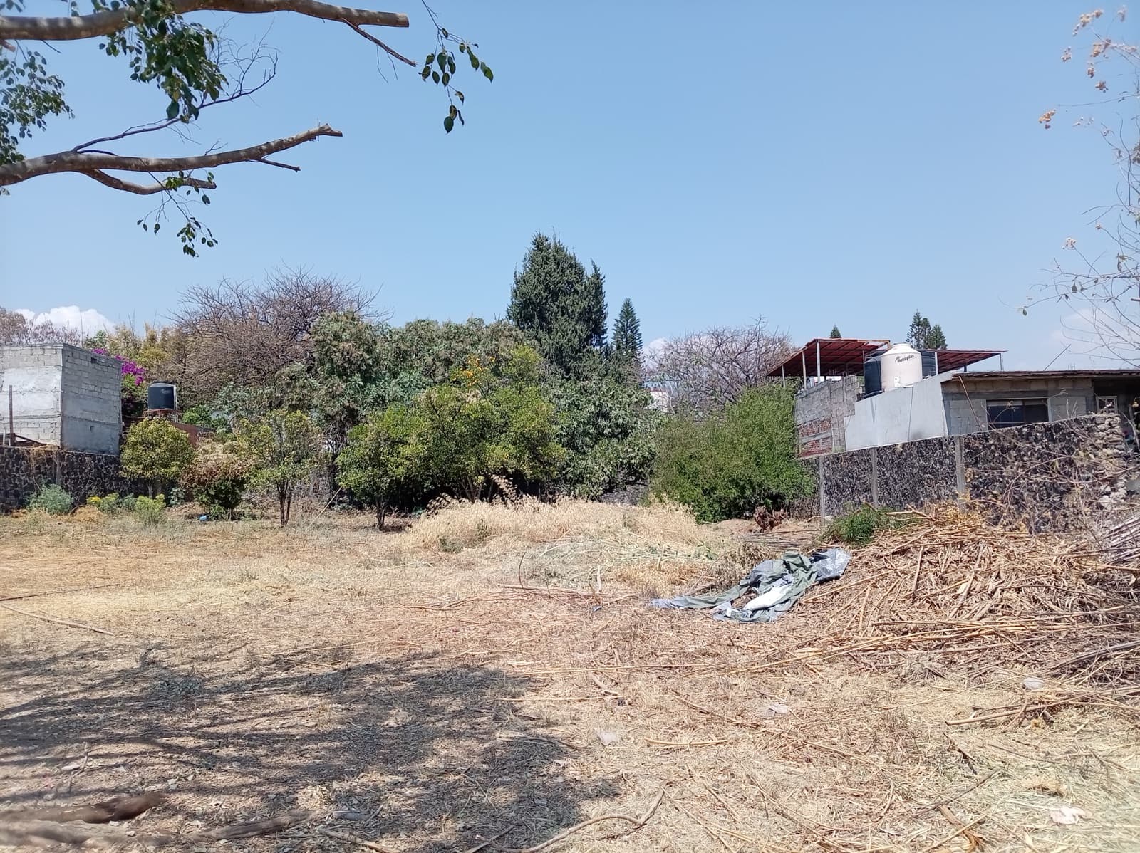 Land - University