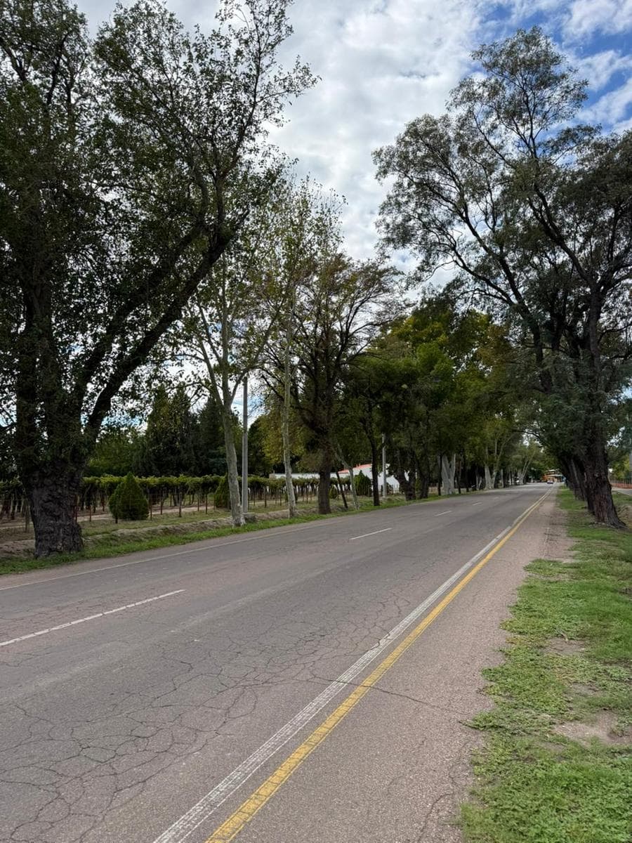 Land in General Alvear