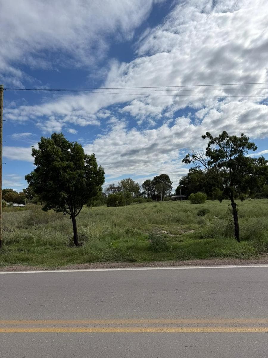 Land in General Alvear