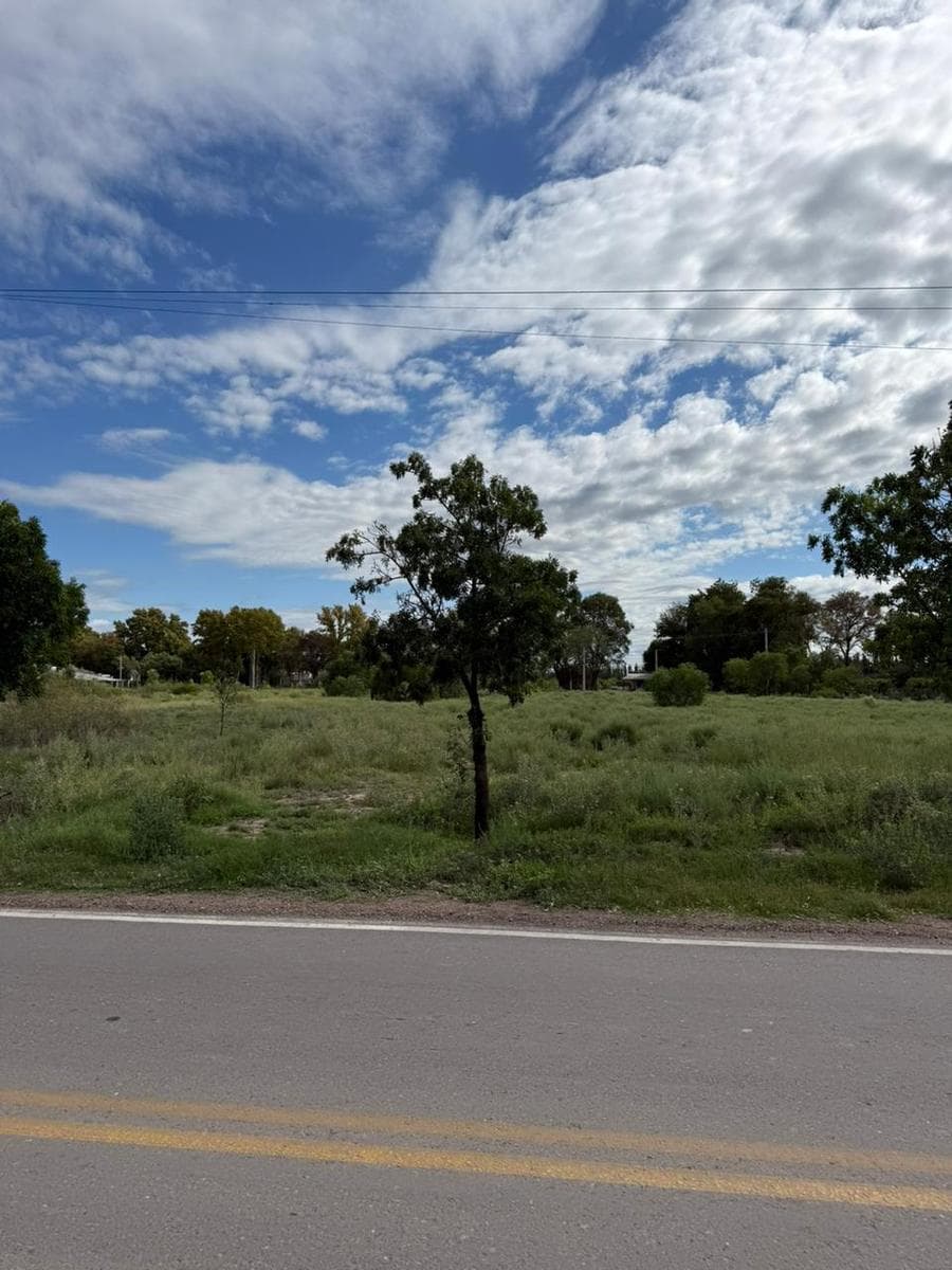 Land in General Alvear