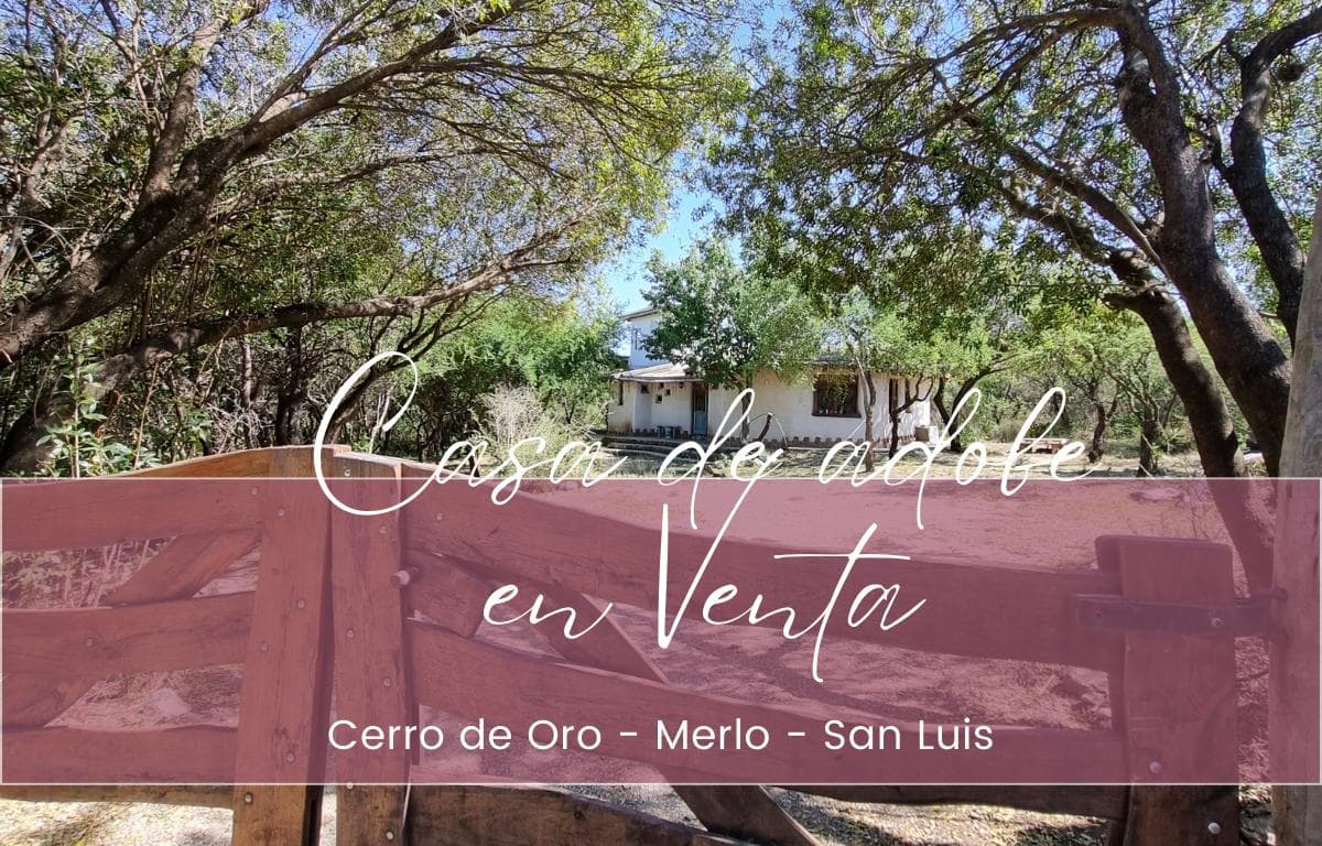 House in Cerro De Oro