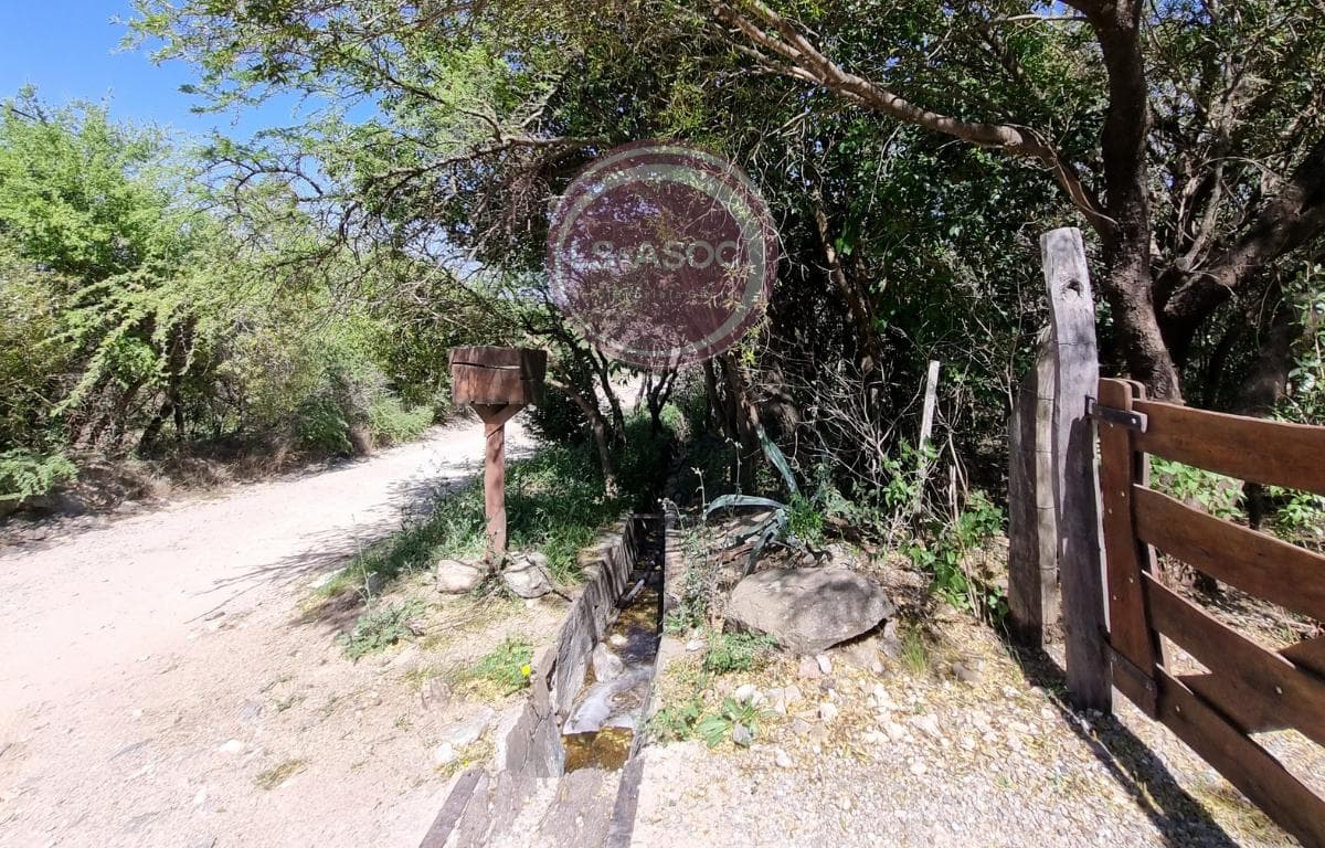 House in Cerro De Oro