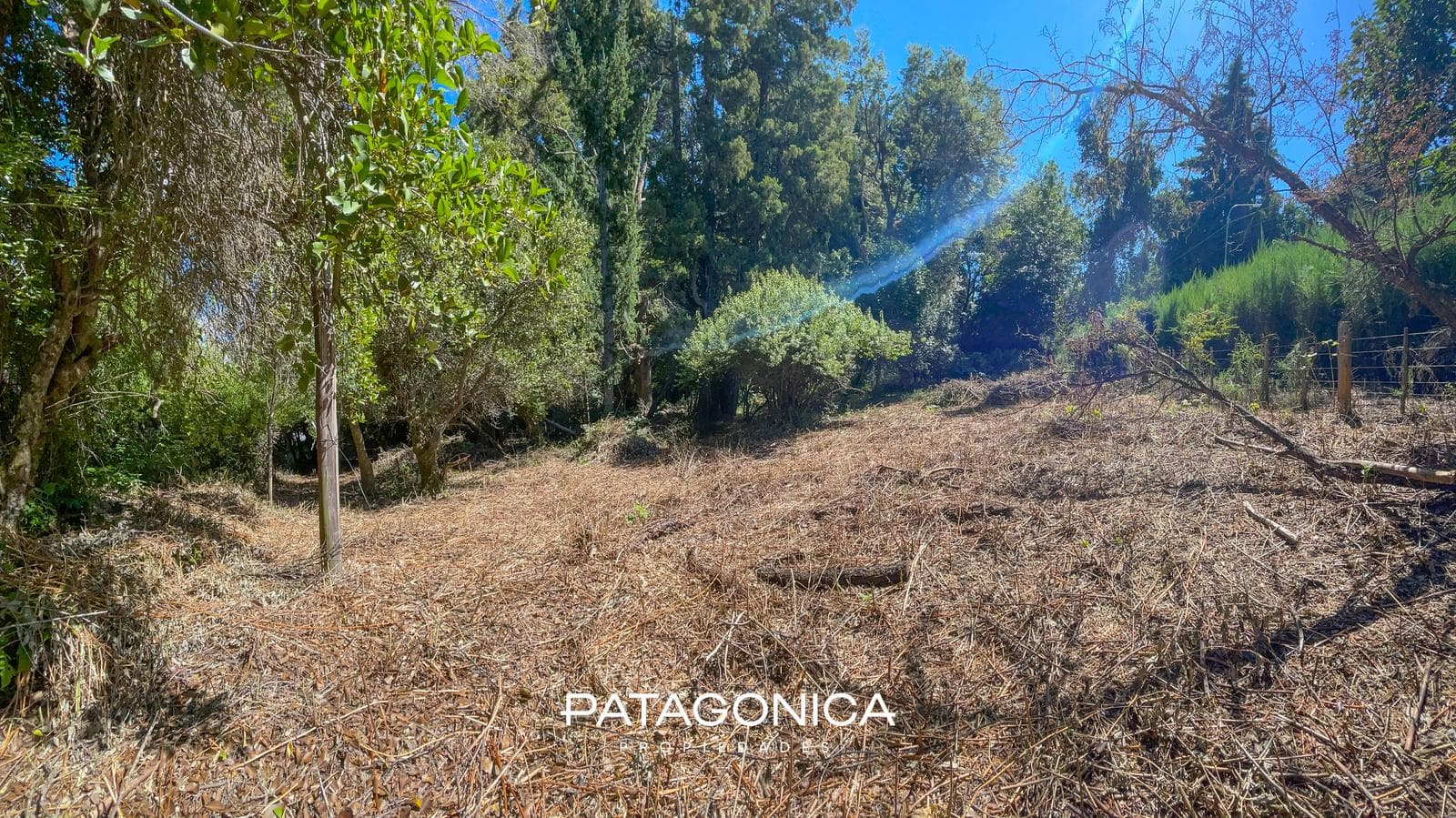 FOR SALE: 1,500 m² LOT, SUITABLE FOR 3 UF, PUERTO VILLA LA ANGOSTURA