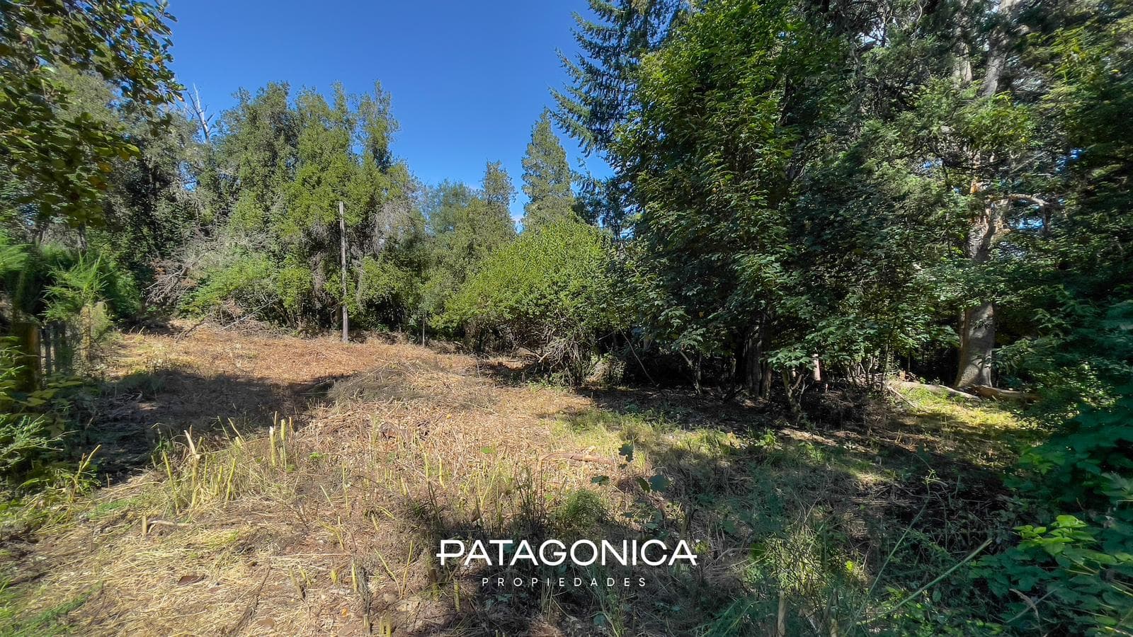 FOR SALE: 1,500 m² LOT, SUITABLE FOR 3 UF, PUERTO VILLA LA ANGOSTURA