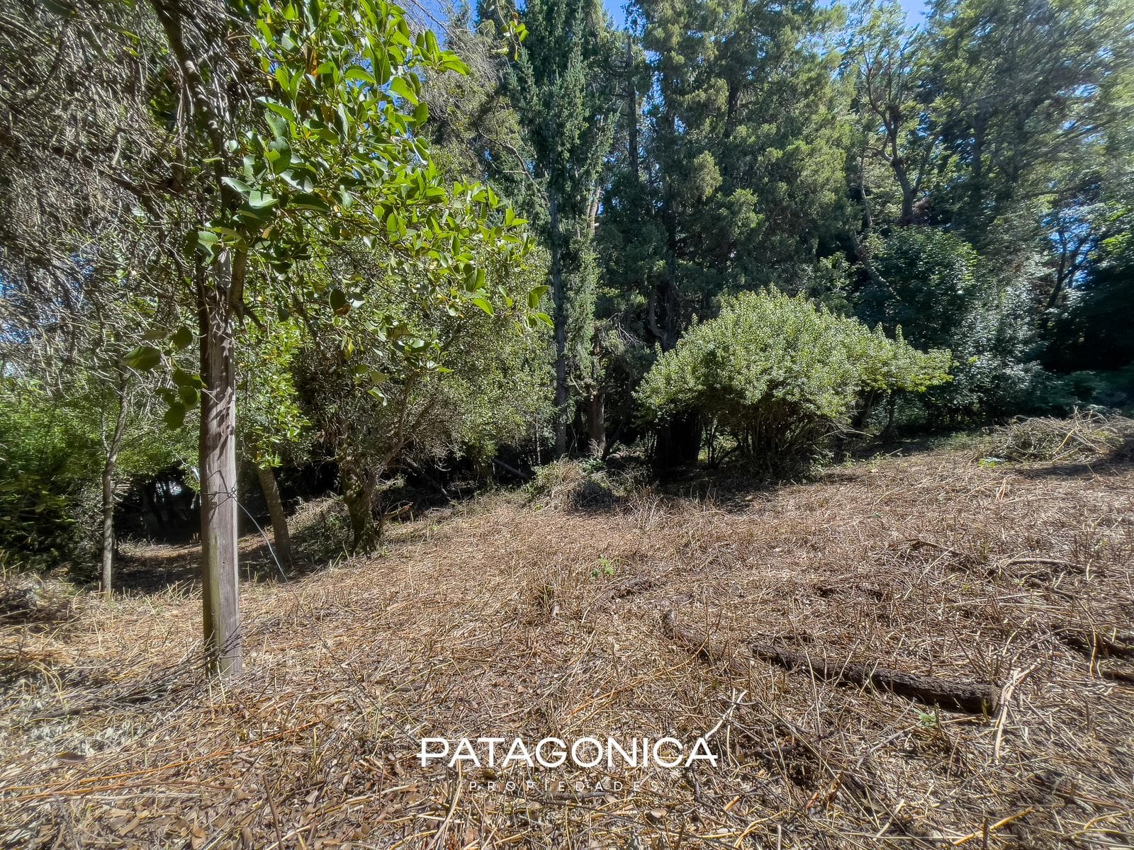 FOR SALE: 1,500 m² LOT, SUITABLE FOR 3 UF, PUERTO VILLA LA ANGOSTURA