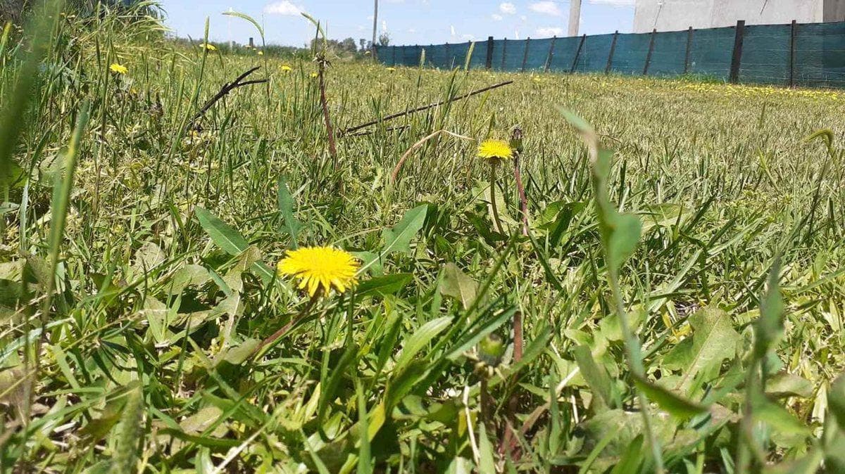 Opportunity to buy a centrally located lot in Domselaar Chico