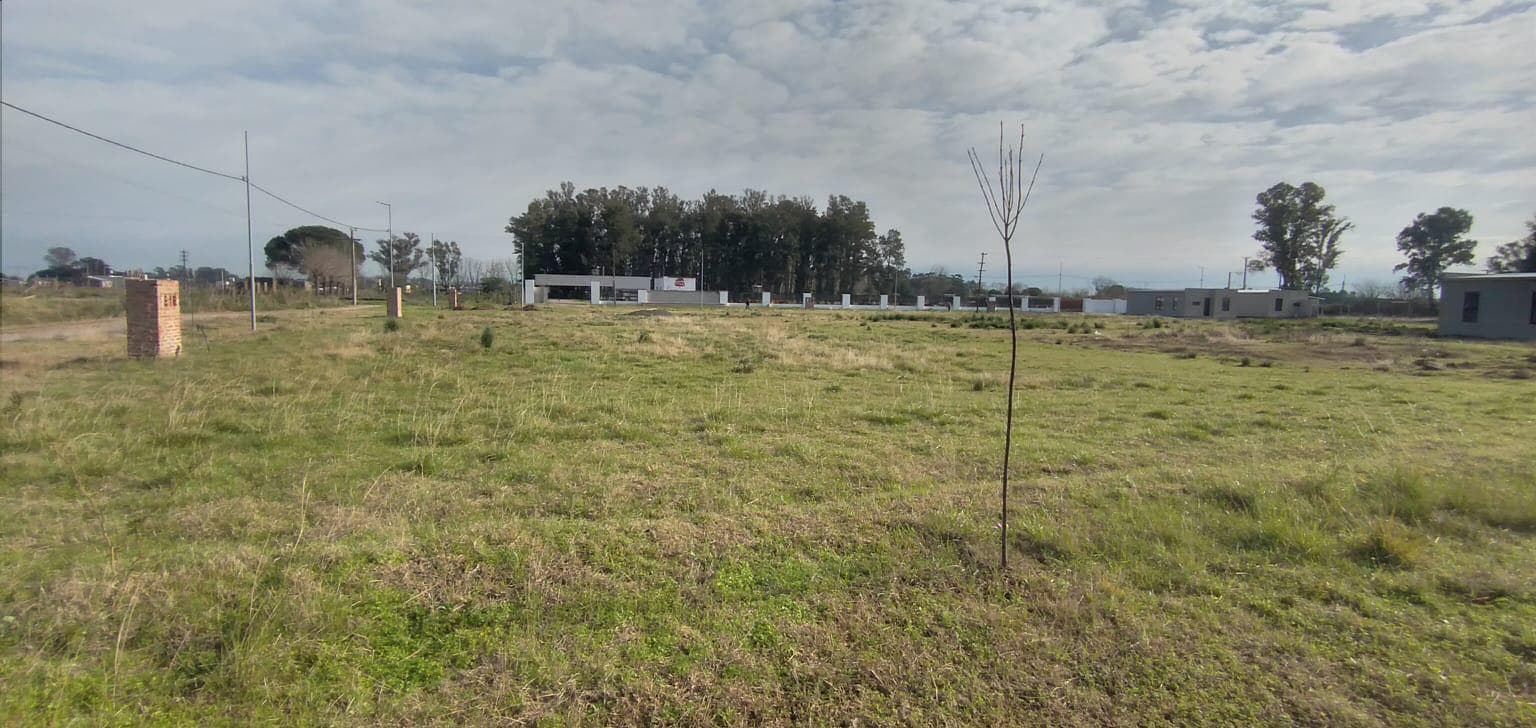 Lot in an open neighborhood with no maintenance fees in Campos de Fresnos. 300 m² lot