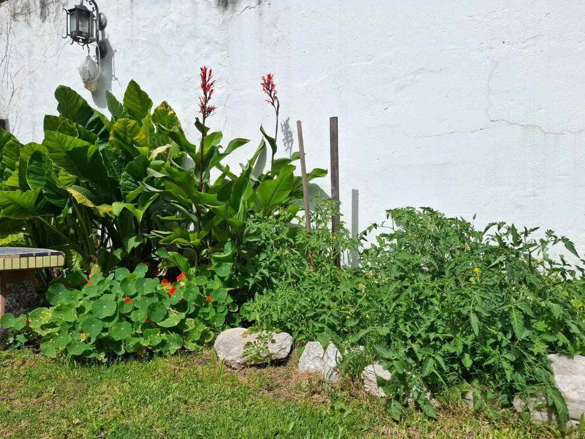 House for Sale with Large Yard in Turdera