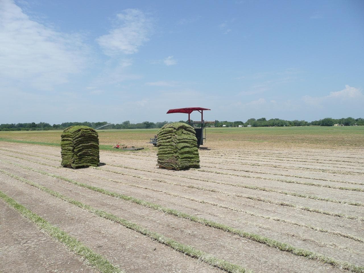 LAND FOR SALE IN GENERAL TERAN