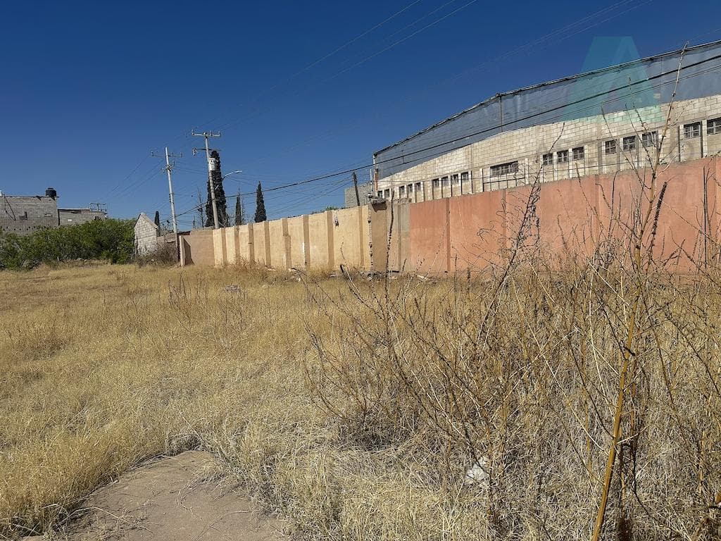 Great Opportunity!! Land for Rent in the Northern Part of the City, Tanch