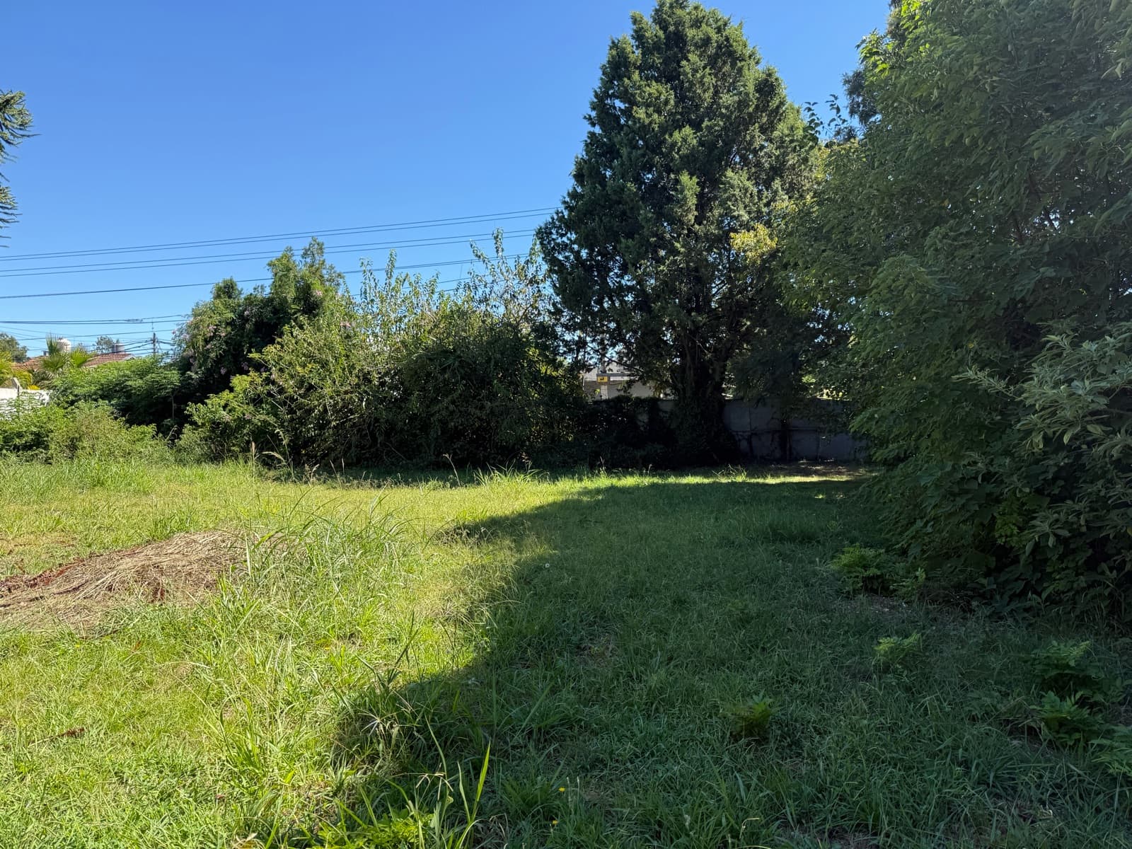 Land - El Talar