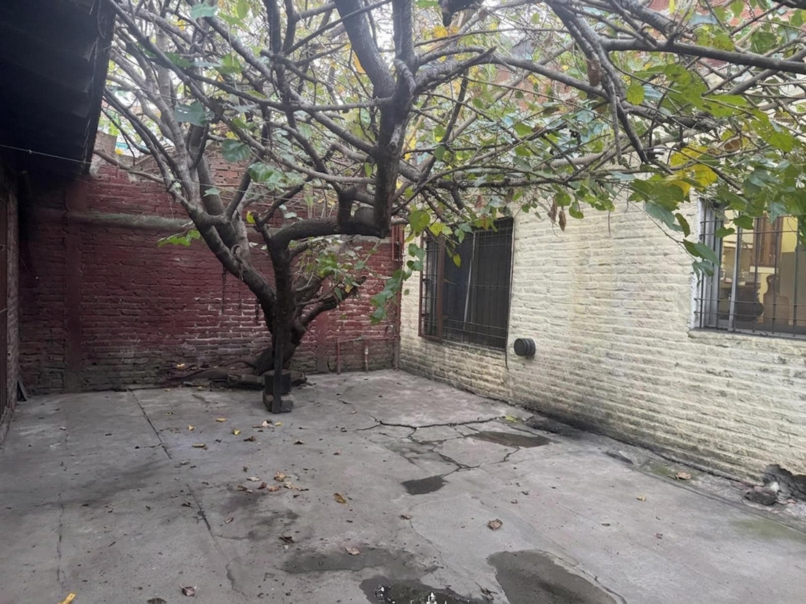 5-ROOM HOUSE FOR SALE IN JOSE MARMOL