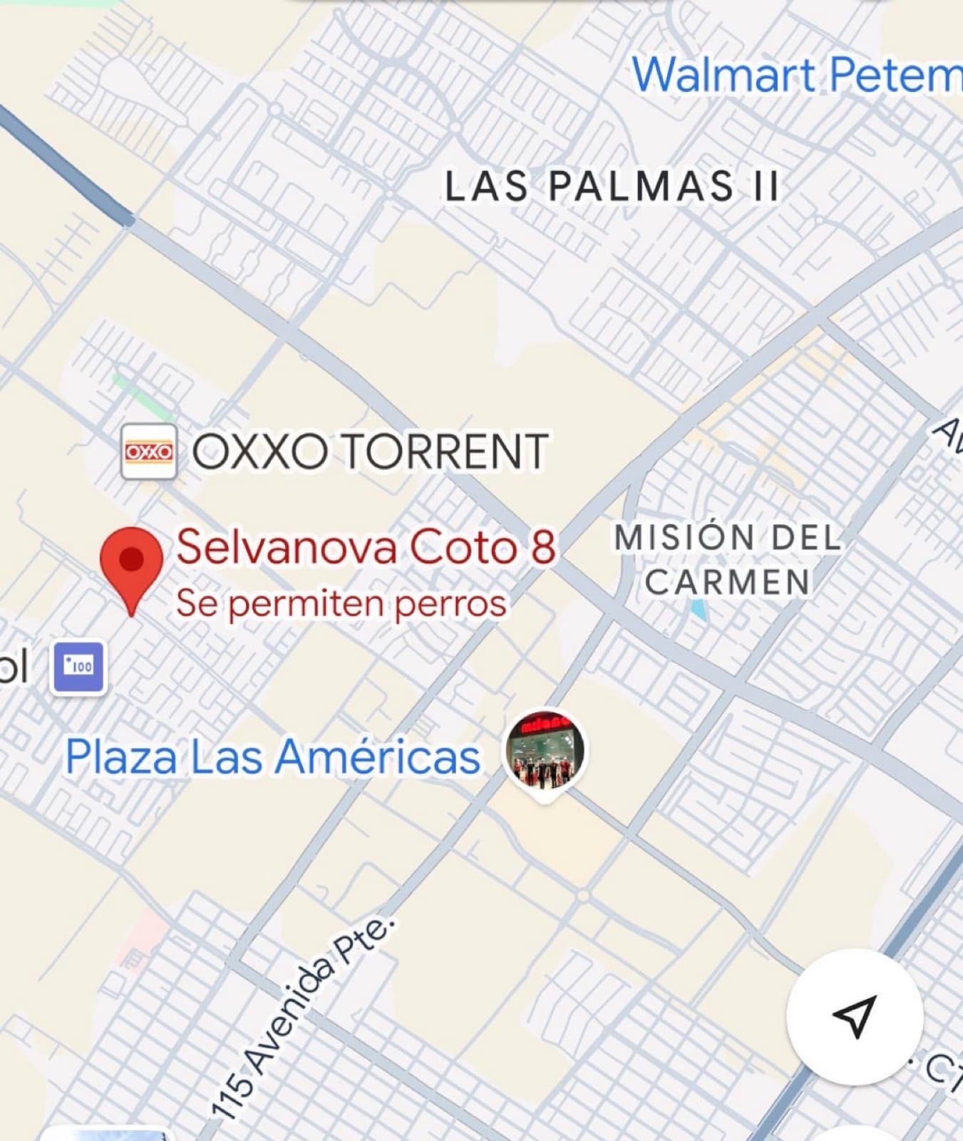 Furnished Selvanova Coto 8 Apartment for Rent in Playa del Carmen