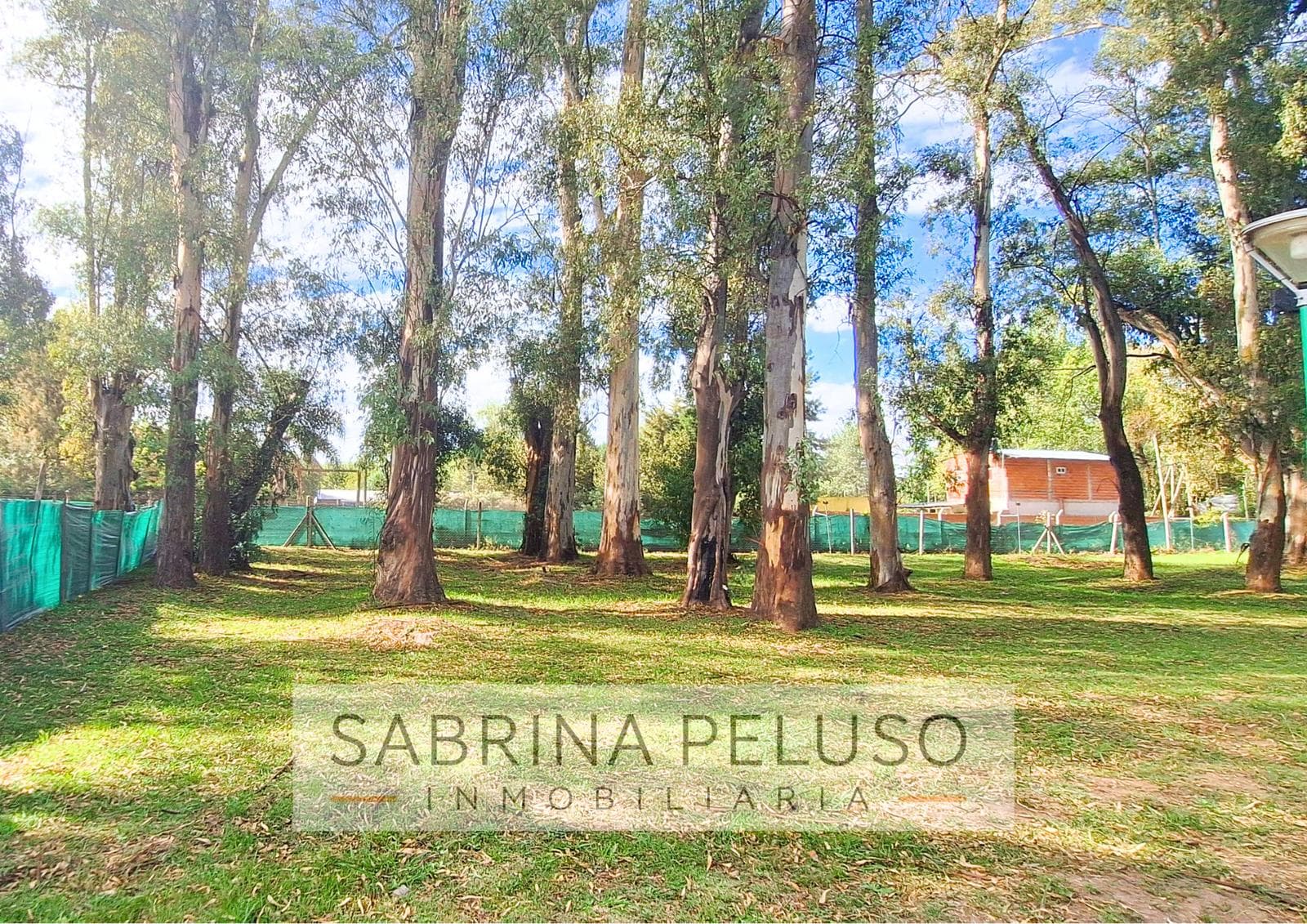 LAND FOR SALE IN ALVAREZ DEL BOSQUE