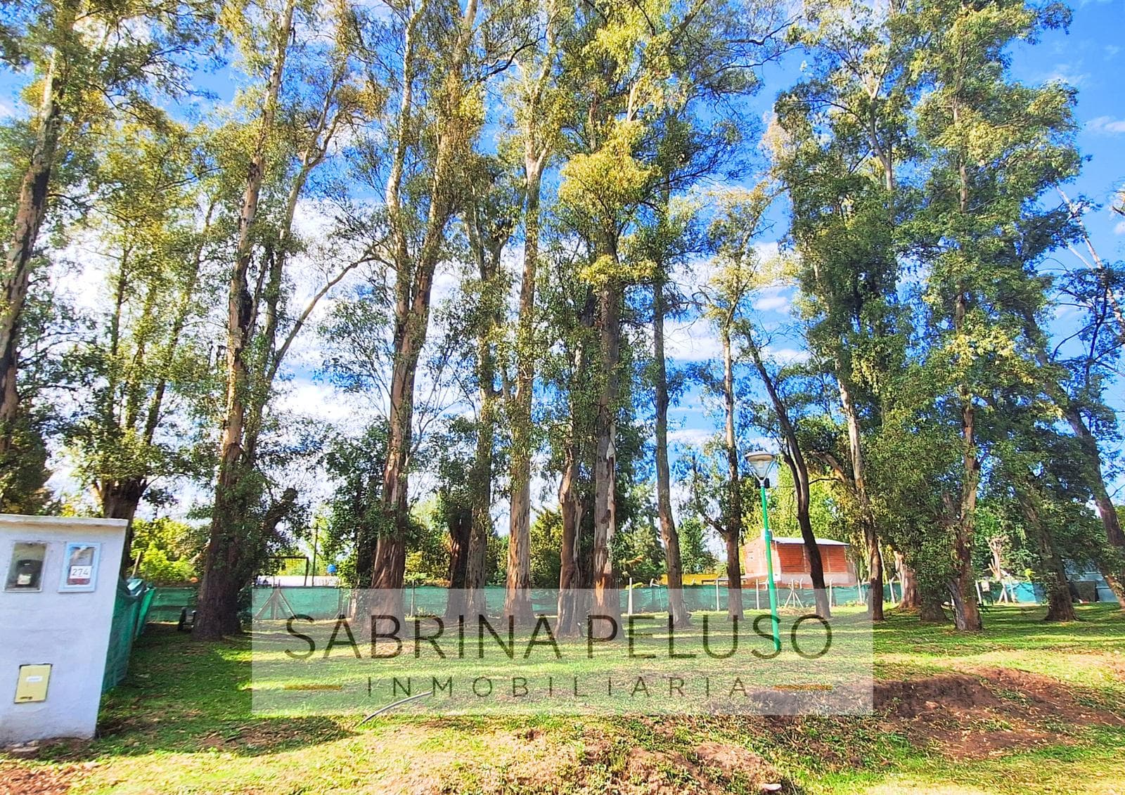 LAND FOR SALE IN ALVAREZ DEL BOSQUE