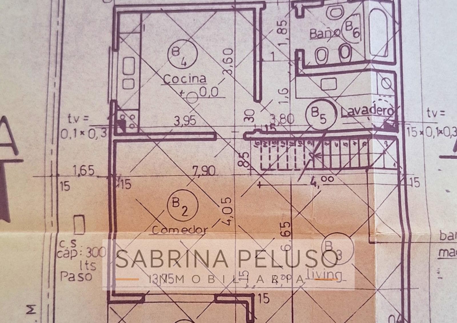 FOR SALE: Country House in Paso Del Rey