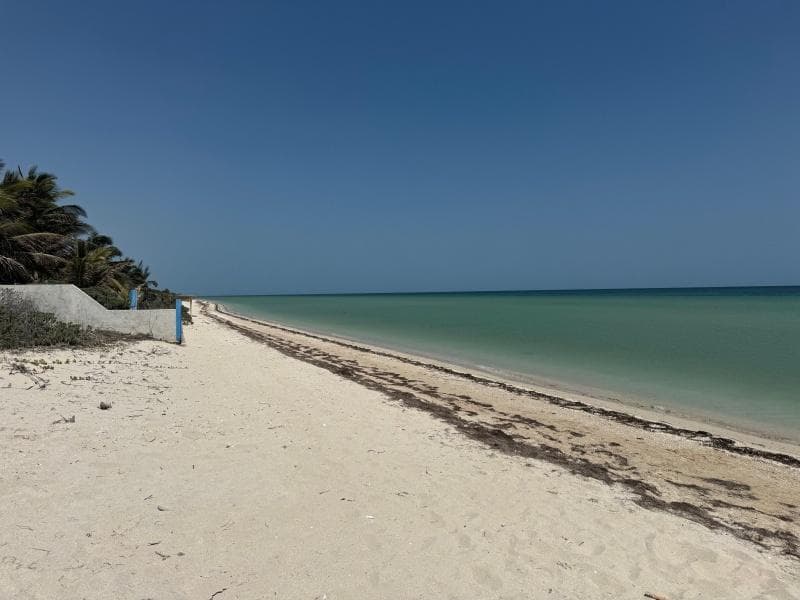 Oceanfront Lot for Sale in San Benito | 5 linear meters |