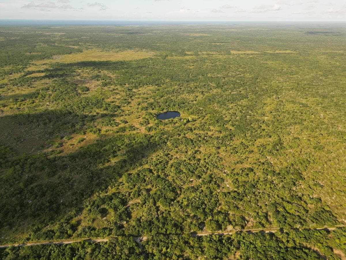 LAND FOR SALE WITH A CENOTE IN MÉRIDA, YUCATÁN | 151 HECTARES FOR DEVELOPMENT AND INVESTMENT