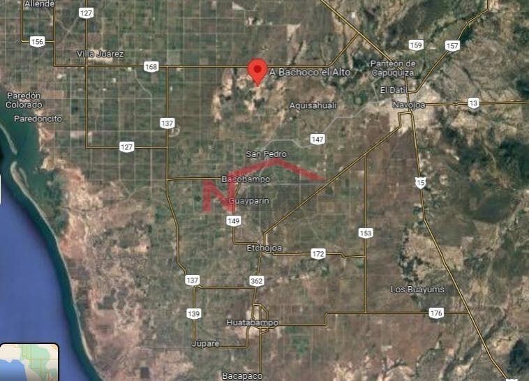 FARM FOR SALE IN BACAME, ETCHOJOA, SONORA