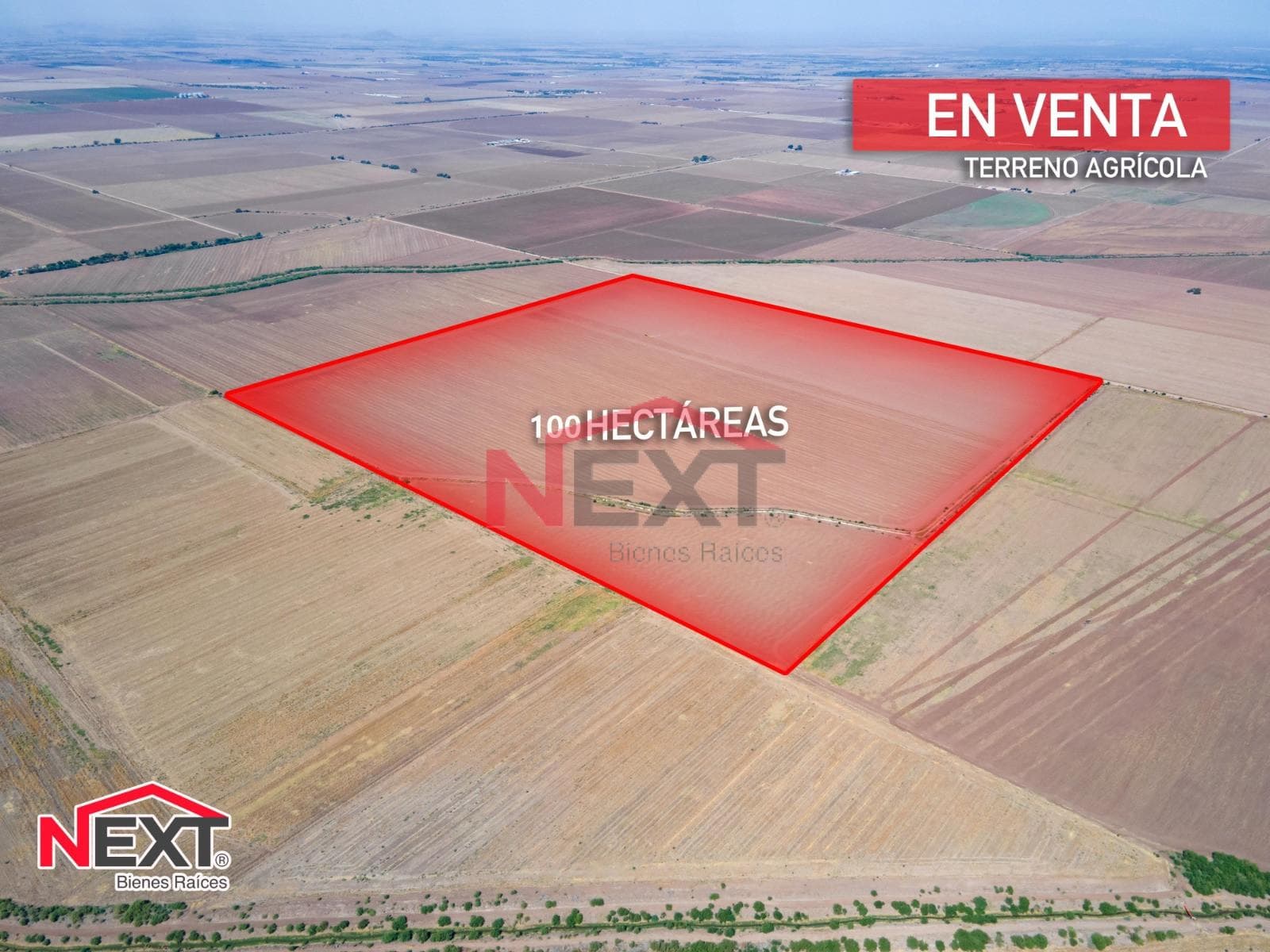 RANCHO AGRICOLA DE VENTA NAVOJOA SONORA