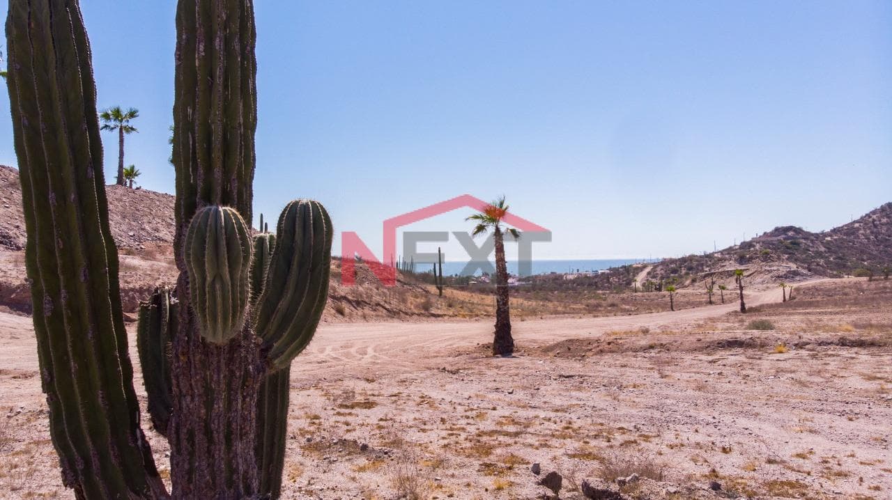 LAND FOR SALE IN KINO NUEVO