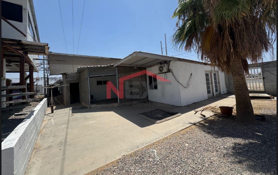 WINE CELLAR FOR RENT IN SAN PEDRO "EL SAUCITO"